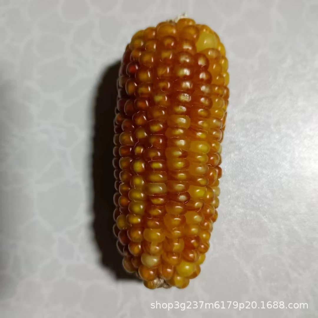 Маленький кролик, оптовая продажа, кукурузные зерна, питомец
