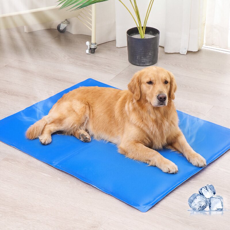 Cross-border Ice Mat for Summer Pet Dog Cooling Artifact Gel Cushion Car Home Sofa Ice Crystal Mattress Cross-border Ice Mat for Summer Pet Dog Cooling Artifact Gel Cushion Car Home Sofa Ice Crystal Mattress