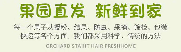 133486fd-26d2-402d-a730-a46502833ef1.jpe