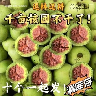 ���Ǫ{���^����y���ñ��Ƥ�������ـ��Ƥ���ܳ���������