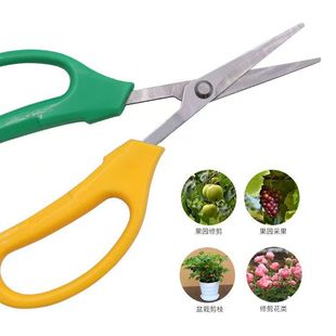 Grape Picking Shears, Gardening Shears, Household Curved Tip Fruit Pruning Shears, Stainless Steel Fruit Pruning Shears, Gardening Small