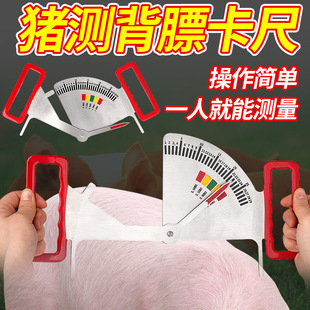 猪用背膘卡尺猪膘情测定指导器饲喂不锈钢卡尺膘情妊娠母猪背膘尺-阿里巴巴