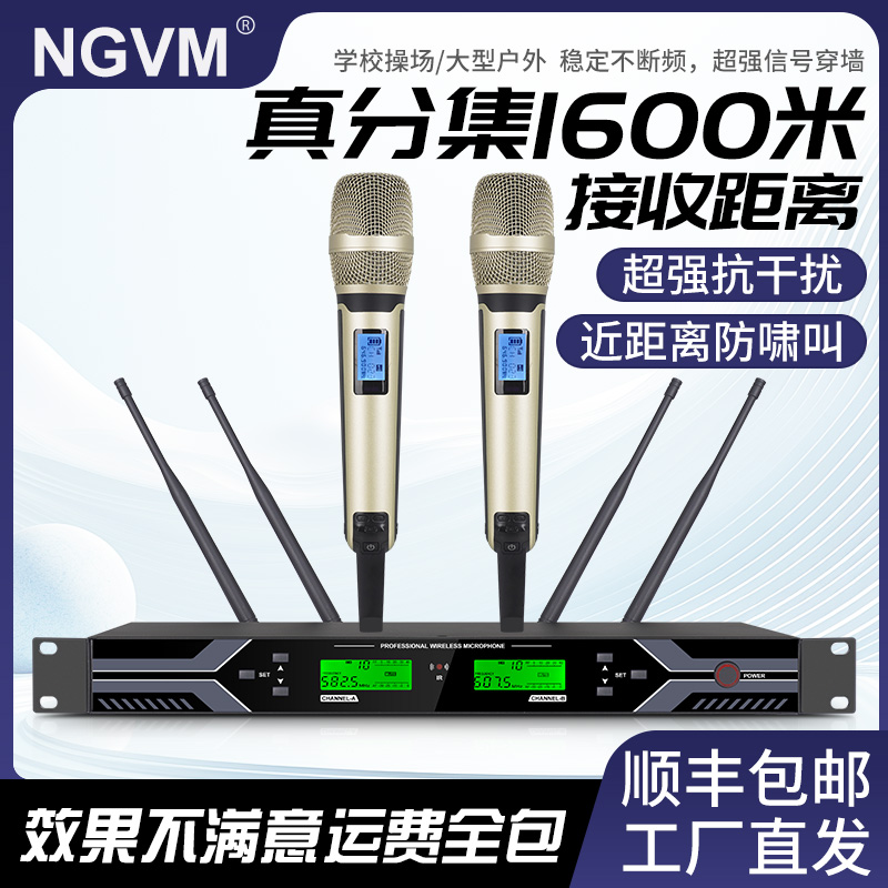 Free Shipping, True Diversity, Anti-Howling Wireless Microphone, Professional Anti-Interference U-Segment Ktv Performance Conference Karaoke Home Phone