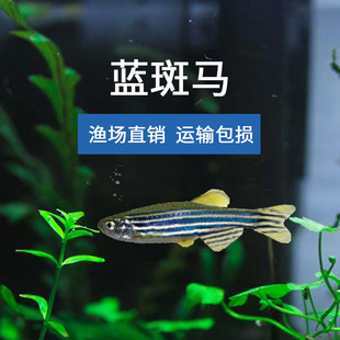 �@���R�~�����w��ˮ�\ݔ���p�^�p�~�O���������l�Ꭷ�~�{���R