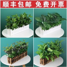 仿真绿萝栅栏绿植栅栏花墙角阳窗台隔断遮挡装饰绿植摆设盆栽