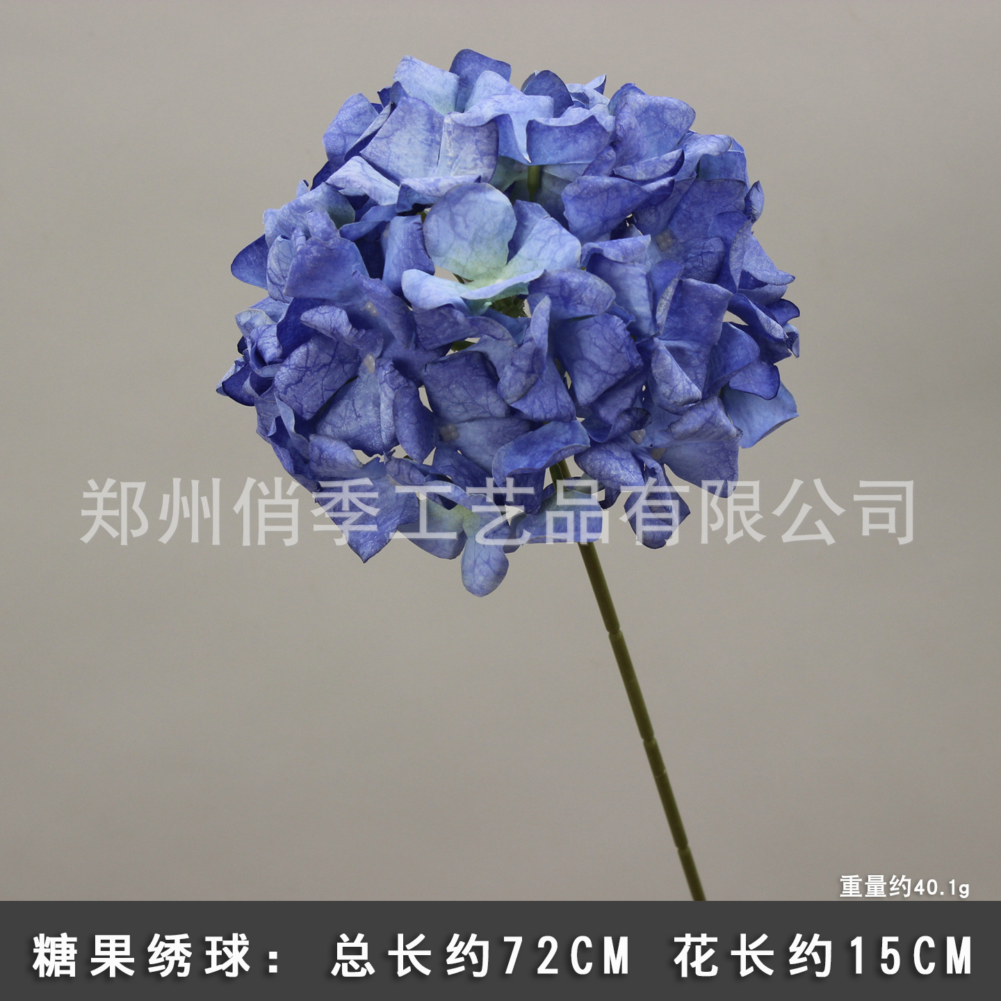 캔디 수국/1 가지