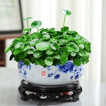 ˮ�ɻ����մɴ�̖�����҃ȟo���~�X��һ�~ɏ��ɏ������ڏ�ˮ��