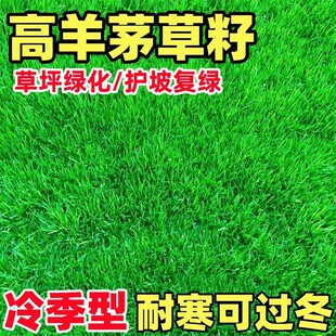 ����é��ƺ�N���ļ������ͺ���������С�^���@�o���伾�;G������