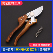 �@�ֹ��ߘ�֦���� ʡ����֦������֦�����@�ּ�S�Ҍ���