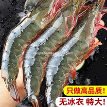 ���r�r���ش�̖�����r���u���r���r���r���rˮ�a�����ك�������r