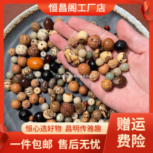 厂家包邮已打孔各类菩提子散珠 金刚凤眼龙眼木鱼果千眼菩提根手
