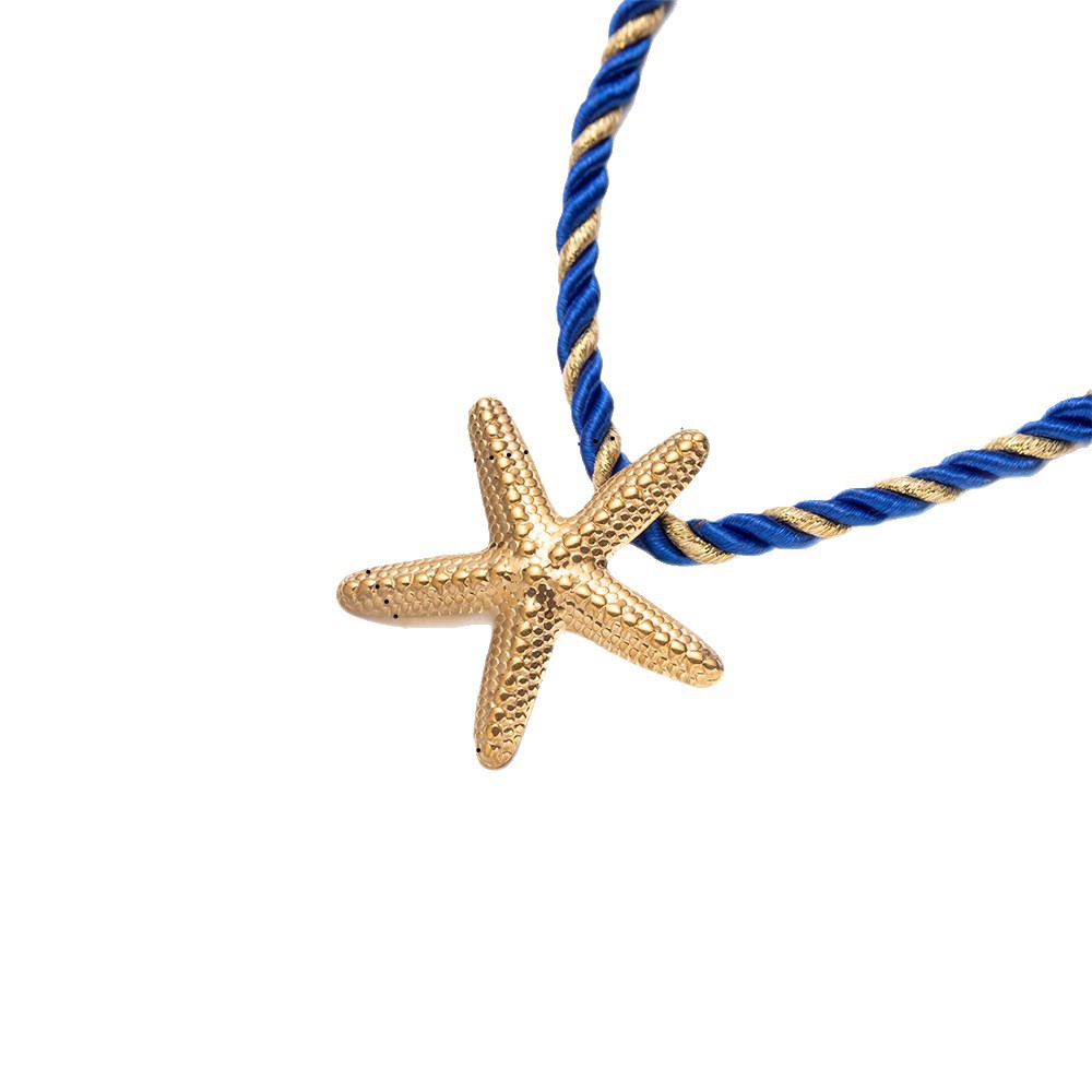 Taena collar de estrella de mar de acero inoxidable europeo y americano apilado para llevar estrella de mar de alta calidad collar de acero de titanio de cuerda gruesa joyería explosiva transfronteriza image 6