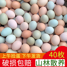 �������u���r��ɢ�B���r���r�����B��Ȼ40ö���u�����u�����G����