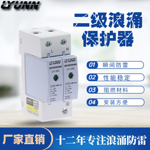 Factory Direct power surge/surge protector 2p 40KA lightning protector
