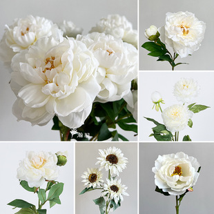 ���s��ɫϵ���Ļ�c�c�Y�廨�bٻ��ٲ����̈���ꐷ��滨