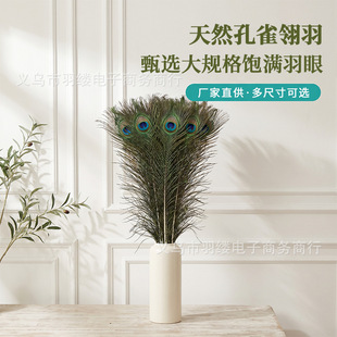 �羳��ȸë��Ȼ��ȸë��ë�[�����m���b����o��߅���ȸ��ë