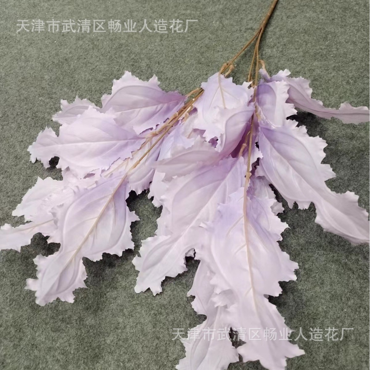 작은 부처님 잎