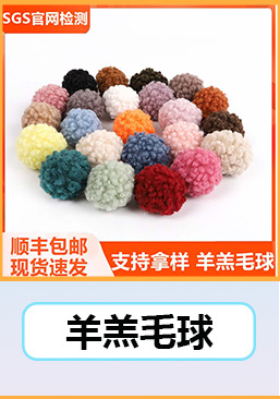 FS-5毛球关联营销_04