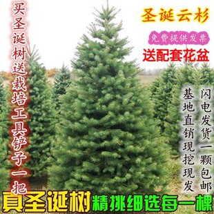 ���}�Q�� �}�Q������}�Q������ Ų���ɼ����}�Q�����Ի����]