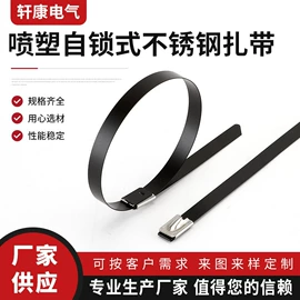 线夹;卡箍、抱箍;束线带