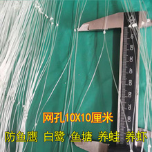 10���־W�۷��B�W�~���Bֳ�����r�������~����W���@�����B�õľW