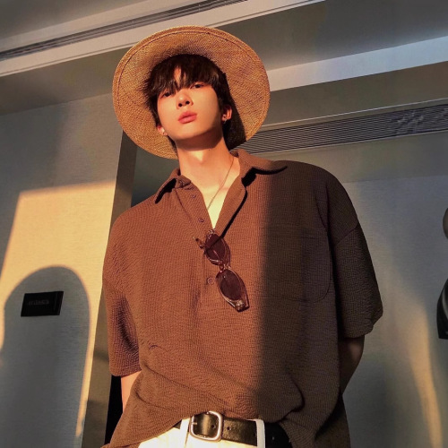 Japanese-style honeycomb collar POLO shirt for men, Hong Kong-style niche cool loose retro city boy workwear short-sleeved T-shirt