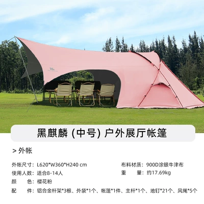 OEM, Avtomobil dam çadırları - medium-size-900d10000mm-silver-coated-cherry-blossom-pink-4-18-people