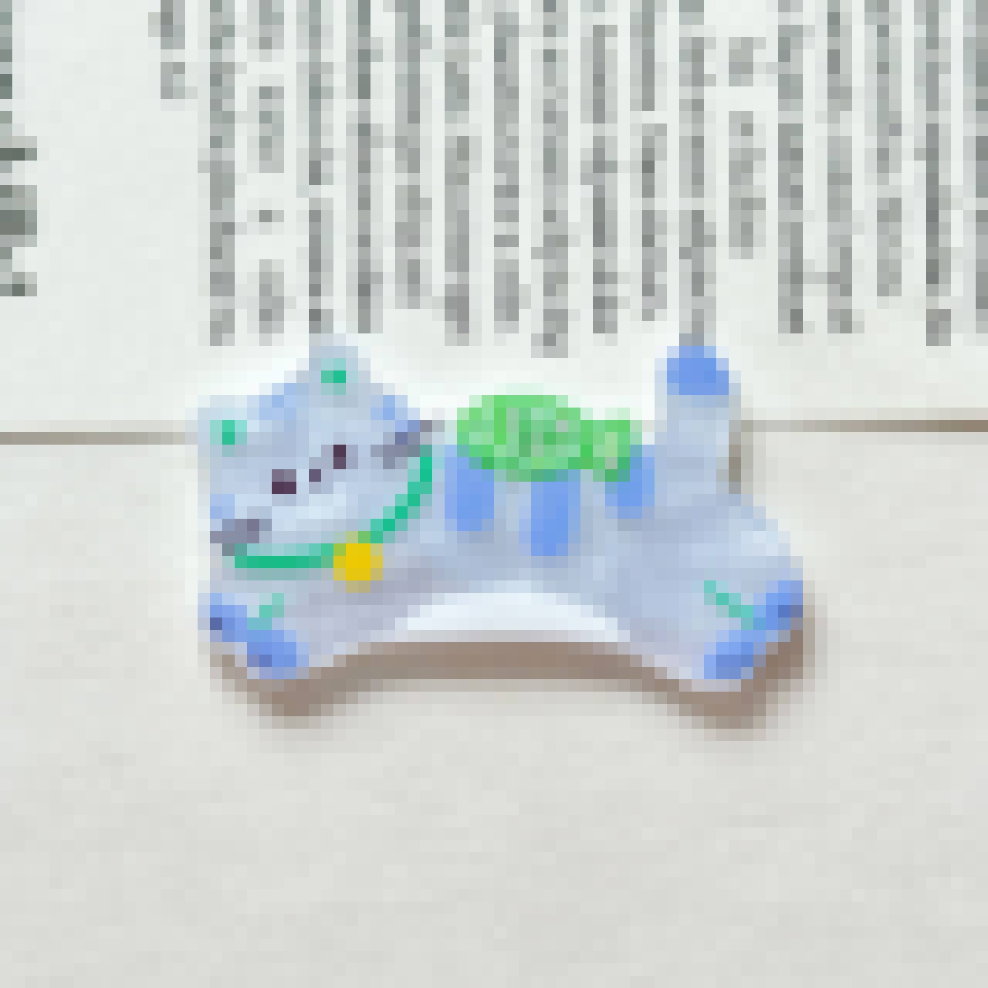 큰 파란 고양이 물고기