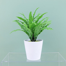 �羳����Gֲ���Ԕ[�����ϼٻ�����[�Oֲ���҃ȾGɫ�͏dС�b�