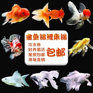 �ݽ��~���~�\���~С��ˮ�^�p�~���w���B��ˮ�~���N�絭ˮ�~�m��