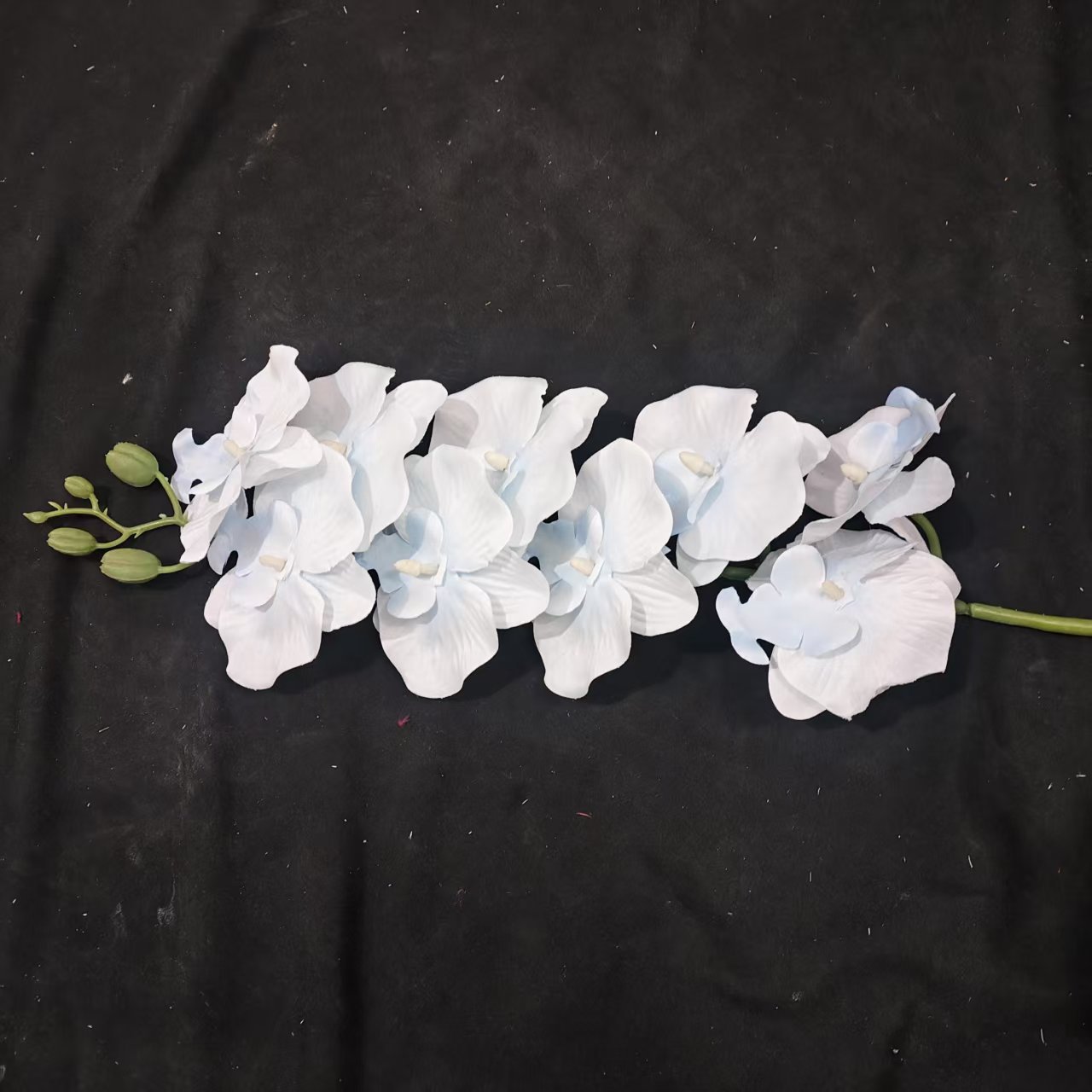 하늘색