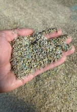 ��ƺ�����ļ������o�¾G���ݷN�ӵ�̺�ݺ����ݹ�����ͥԺ�����N��