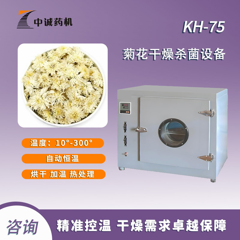 菊花干燥杀菌设备鼓风干燥箱