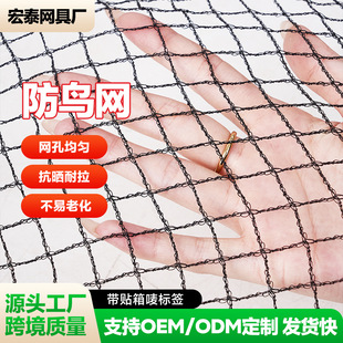 �羳���B�WBird net����ϩPE�D���W���@����ͥԺ���ѹ���r�B�W��