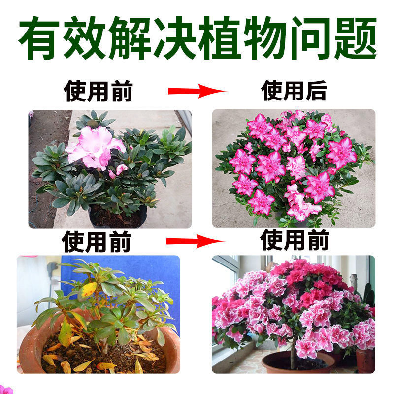 鉢植えのポトスとツツジ用の万能化学肥料、葉の乾燥と黄ばみを促進し、希釈せずに成長を促進する特別な栄養液|undefined