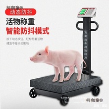 商用带轮600公斤电子秤1000kg磅秤防抖防潮防爆500计价大秤麦太保