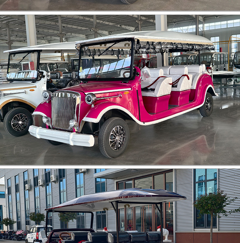8-Seater Electric Sightseeing Car for Tourist Areas, Real Estate Sales Offices, House Viewings, Hotel Receptions, and Vintage Car Tours
