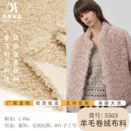 源头工厂羊绒圈仿羊毛绒布服装玩具毛毯家纺羊羔绒面料