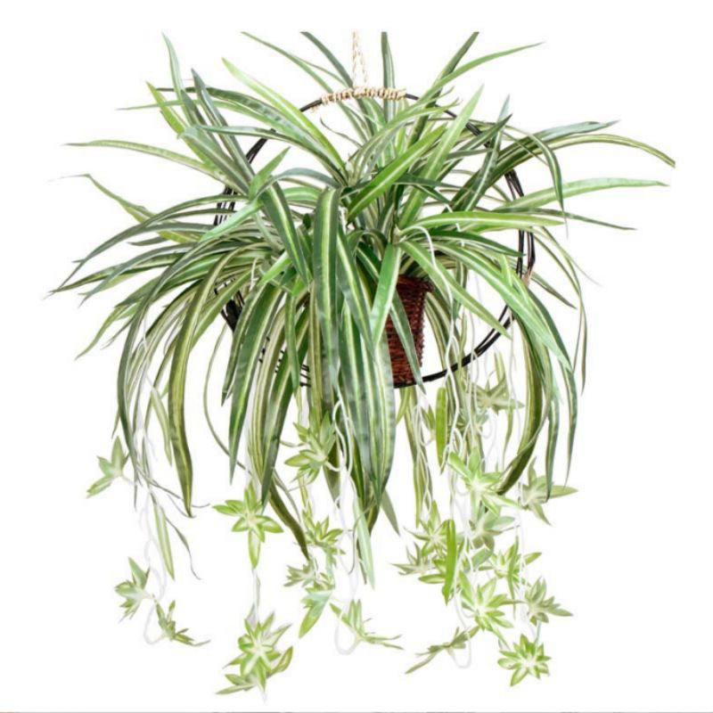 仿真花吊兰藤假兰花植物墙配材壁挂室内装饰藤条绿植软装门头插花