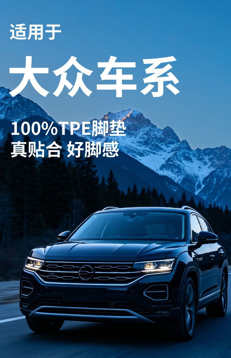 Volkswagen Lavida, Bora, Passat, Magotan, Polo, Lamando, Sagitar, Jetta, Santana Special Tpe Car Floor Mats