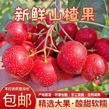 ���rɽ髹�ɽ����rɽ��r��ˮ��ɽ��t�Fɽ��Ǻ��Jɽ��r�����]