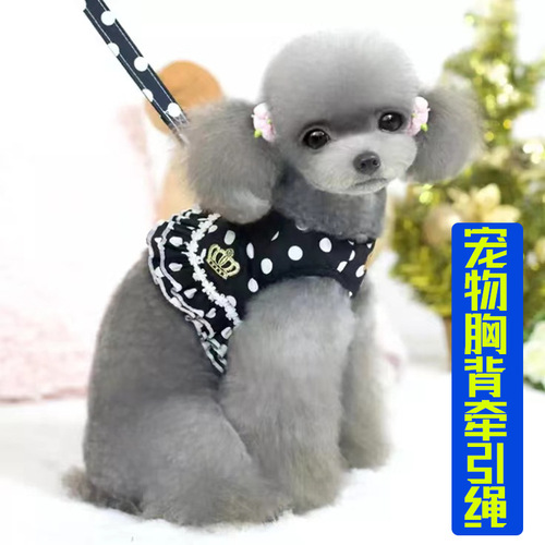 Vest-style cat cute chest-back pet leash small dog without strangling hands walking dog anti-biting dog clothes