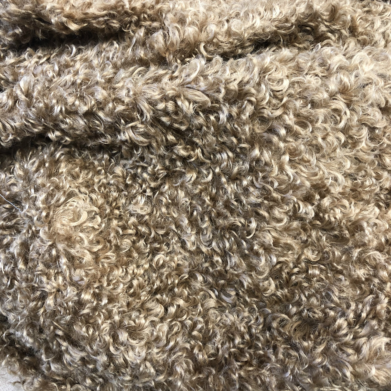 Cajurro de cabra tigrado de cabra imitación de peluche de cabra abrigo abrigo tela de peluche