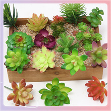 批发↬迷你多肉植物花头小号插花配件假多肉塑料花装饰植物盆栽