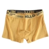 Hello-ginger