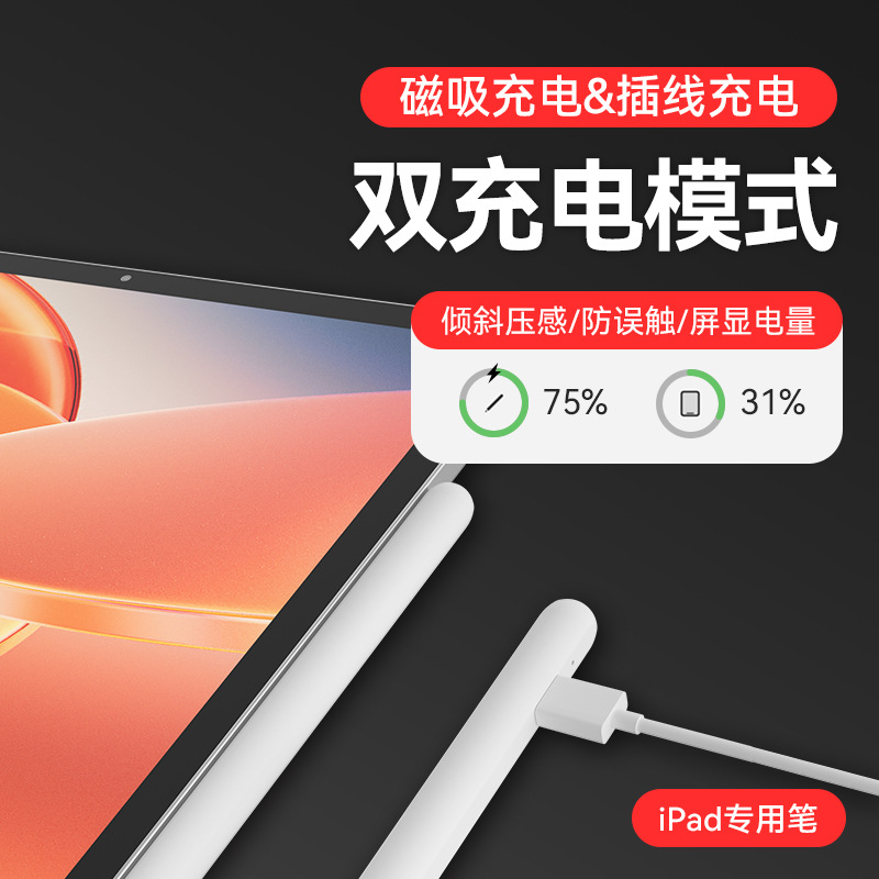 C16 이중 충전 모델