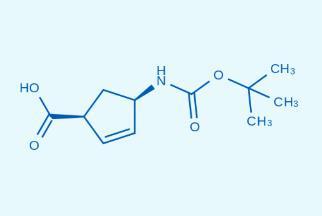 (1S,4R)-4-((叔丁氧基羰基)氨基)环戊-2-烯甲酸CAS号151907-79-8
