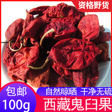 西藏野山鬼臼果100g包邮无硫桃儿七另有鬼臼根出售八角莲包邮真货