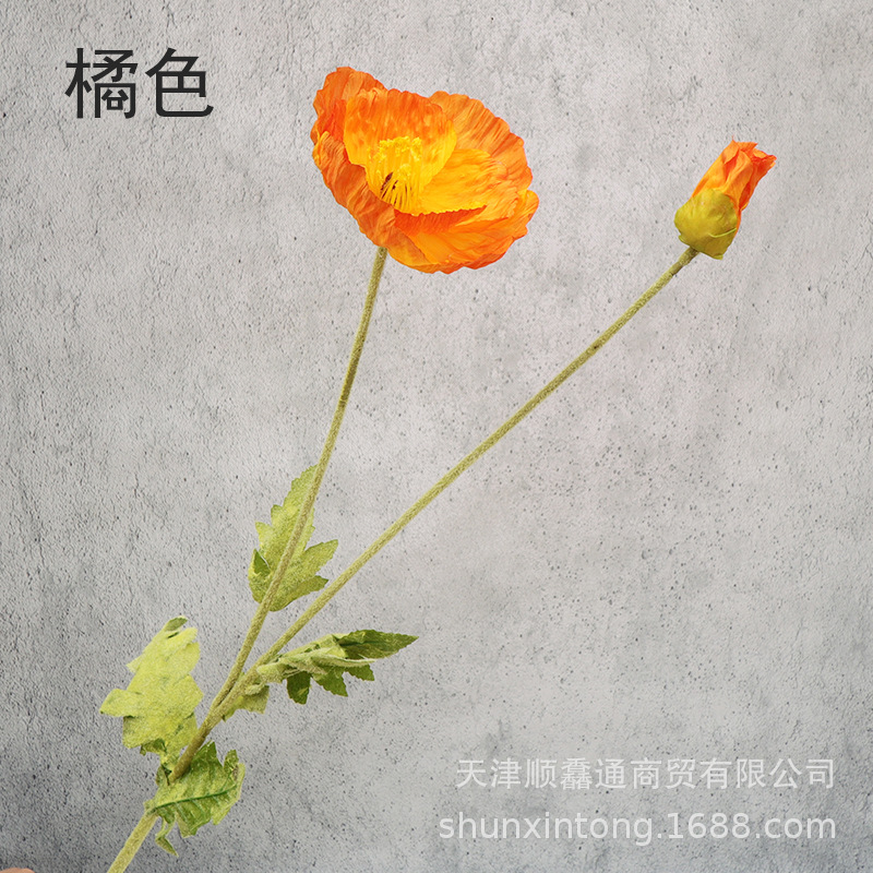 大虞美人橘色1.jpg