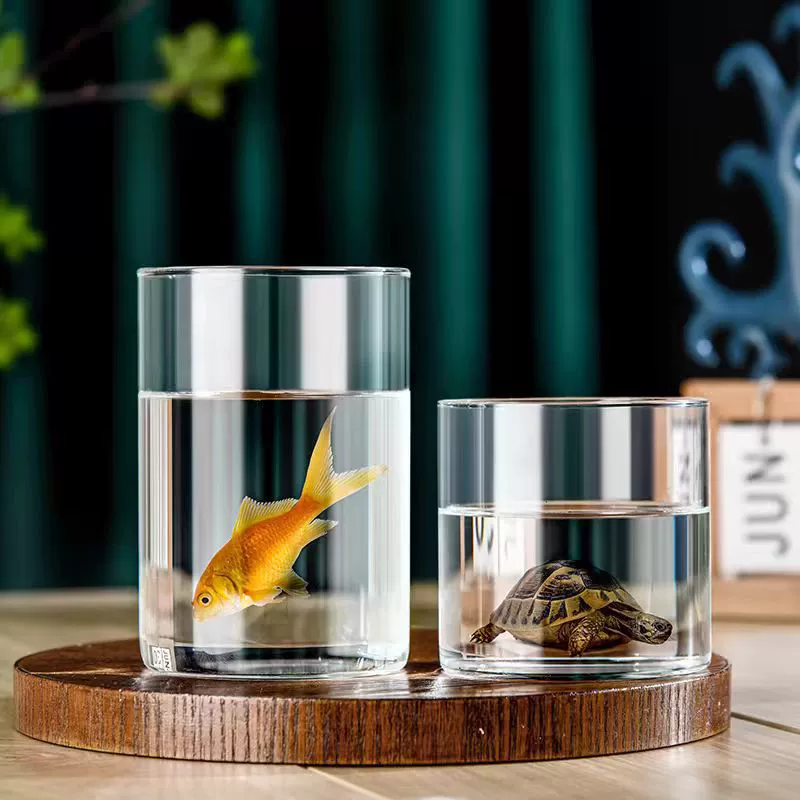 Бытовая прямая микроландшафтная бутылка с высоким содержанием боросиликатного стекла гидропонное растение ландшафтная бутылка настольная украшение многофункциональная ландшафтная бутылка